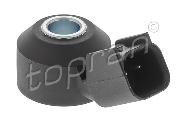 Knock Sensor 304 068