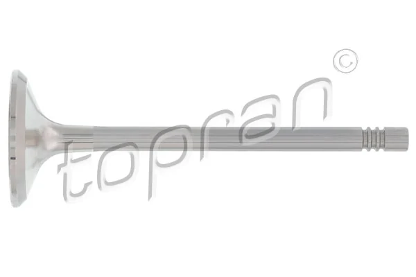 Exhaust Valve 109 685