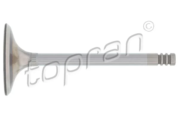 Intake Valve 101 599