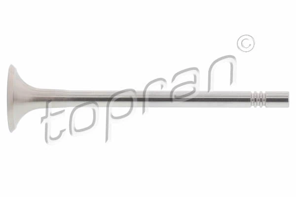 Exhaust Valve 116 859