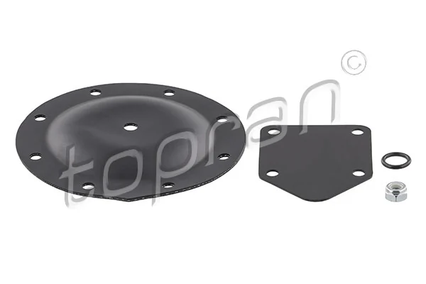 Membrane, vacuum pump 101 494