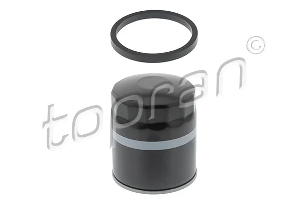 Oil Filter 300 029