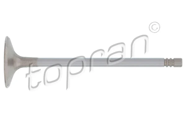 Intake Valve 205 574