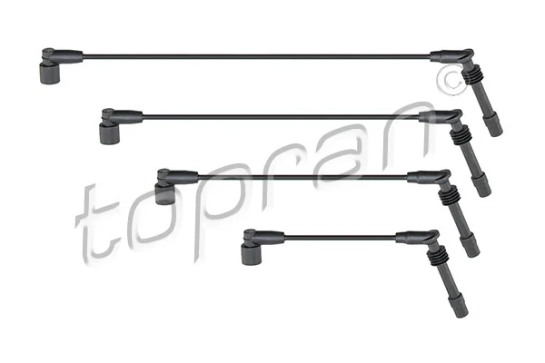 Ignition Cable Kit 202 531