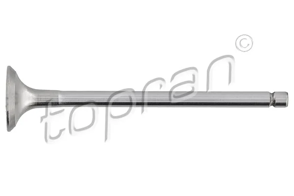 Exhaust Valve 721 574