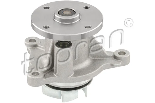 Water Pump, engine cooling 820 956