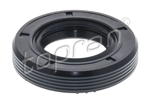 Shaft Seal, drive shaft 100 082