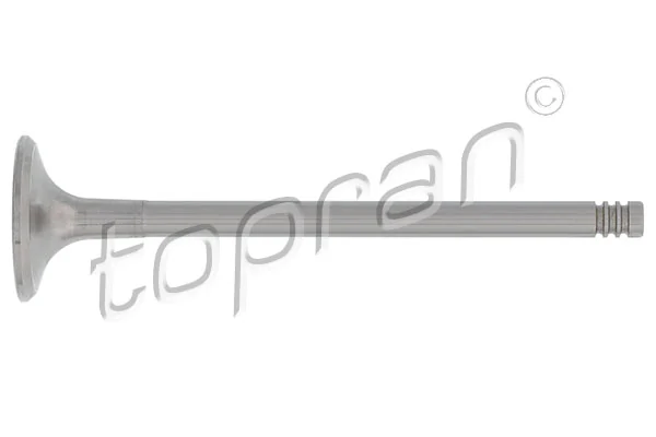 Intake Valve 110 210