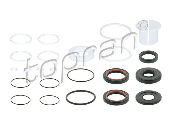 Gasket Set, steering gear 409 169