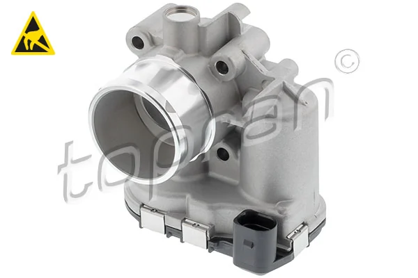 Throttle Body 305 898