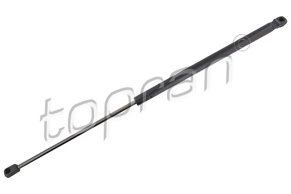 Gas Spring, boot/cargo area 305 164