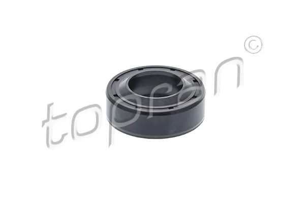 Shaft Seal, drive shaft 101 944