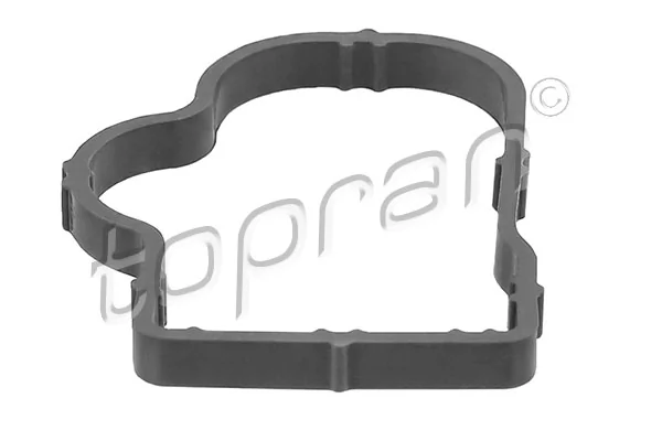 Gasket, intake manifold 207 617