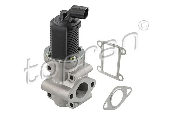 EGR Valve 207 441