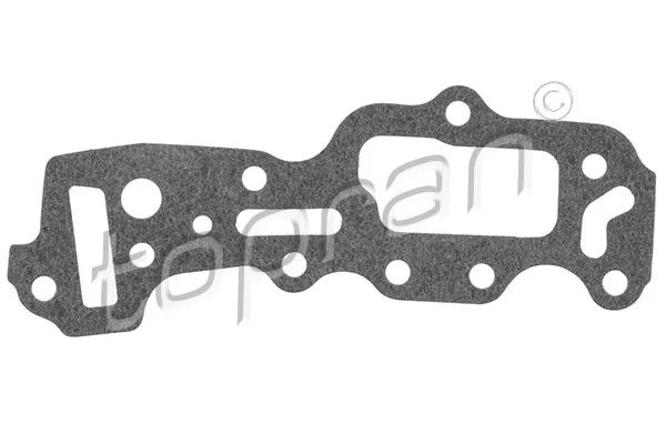 Gasket, timing case 201 229
