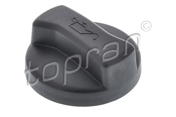 Sealing Cap, oil filler neck 100 198