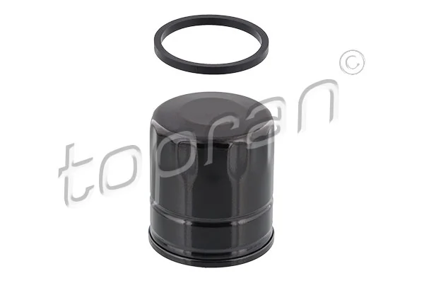 Oil Filter 302 134