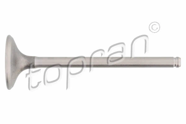 Intake Valve 700 657