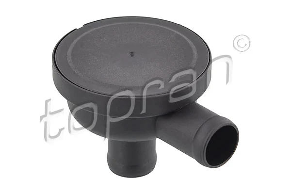 Boost Pressure Control Valve 117 199