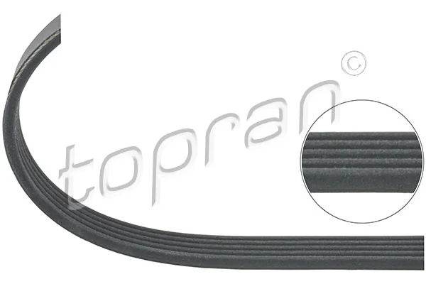 V-Ribbed Belt 401 218