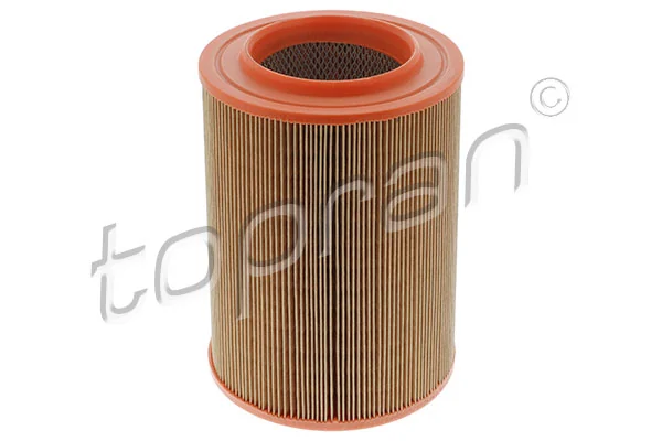 Air Filter 100 806
