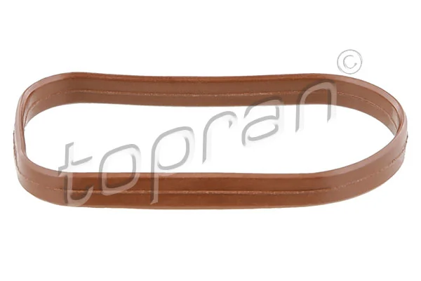 Gasket, intake manifold 408 439