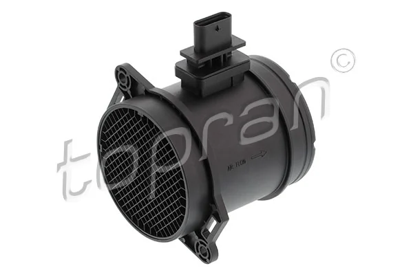 Mass Air Flow Sensor 119 561
