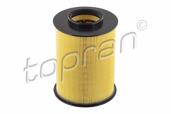 Air Filter 302 818
