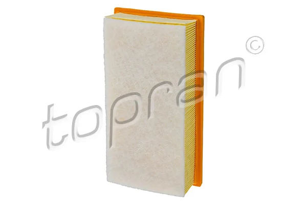 Air Filter 720 968
