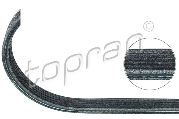 V-Ribbed Belt 109 865