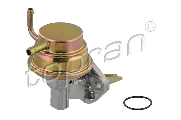 Fuel Pump 100 219