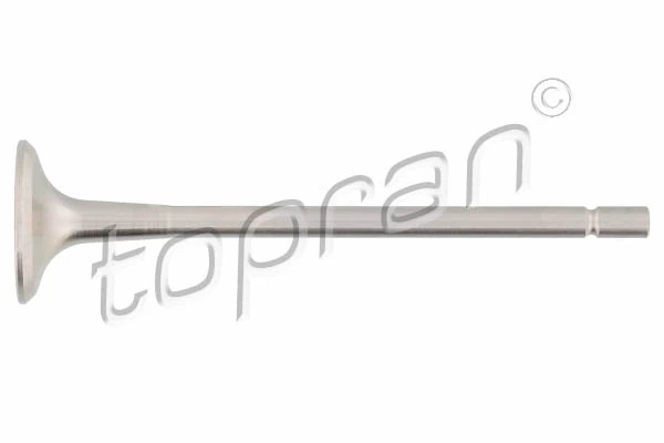 Exhaust Valve 700 654