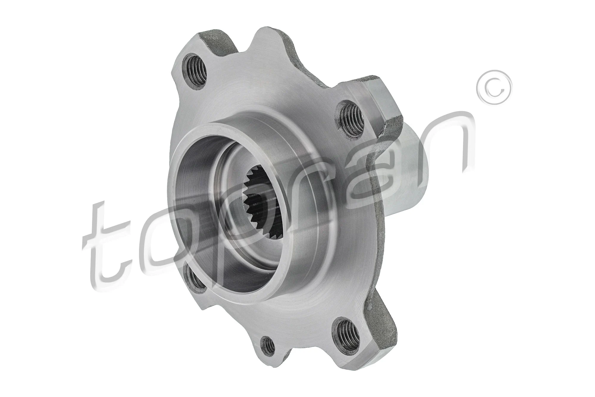 Wheel Hub 301 091