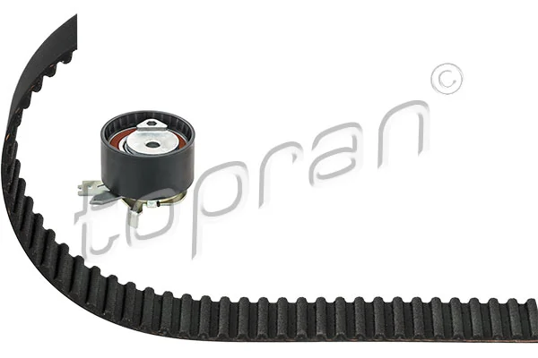 Timing Belt Kit 700 785