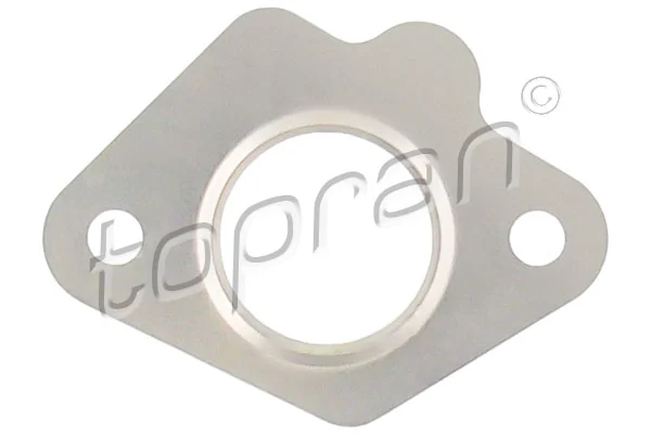 Gasket, EGR valve 723 858