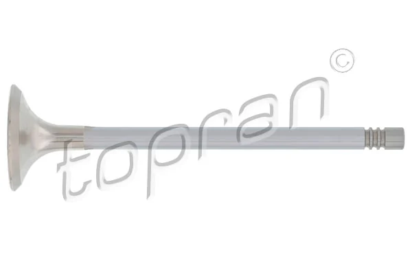 Exhaust Valve 110 202