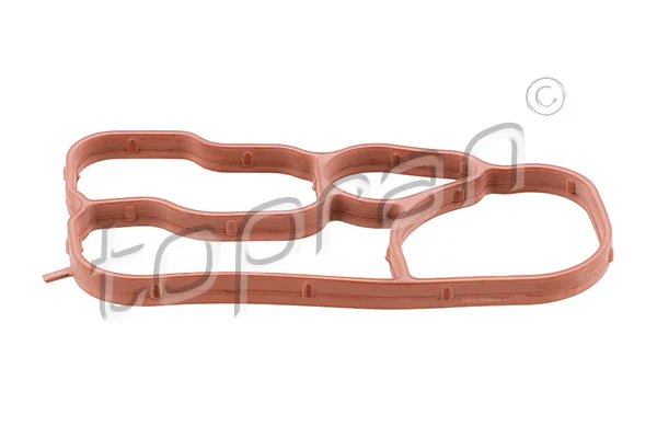 Gasket, oil cooler 117 895