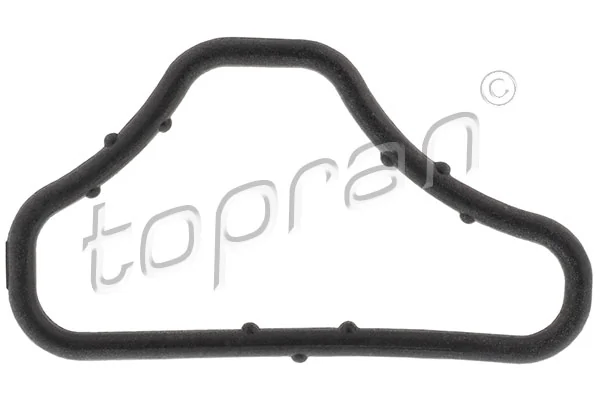 Gasket, coolant flange 100 261