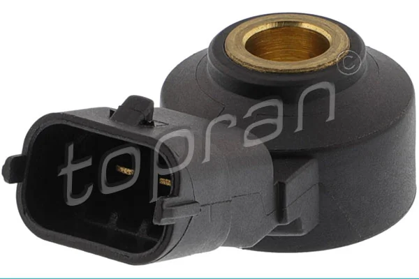 Knock Sensor 207 826