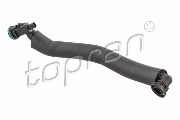 Hose, cylinder head cover ventilation 503 261