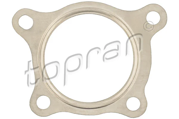Gasket, exhaust pipe 117 174