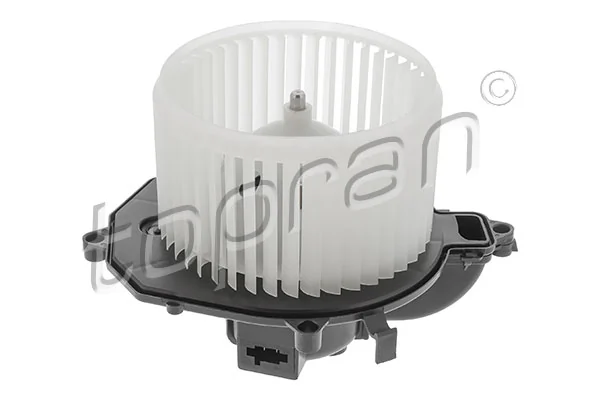 Interior Blower 724 309