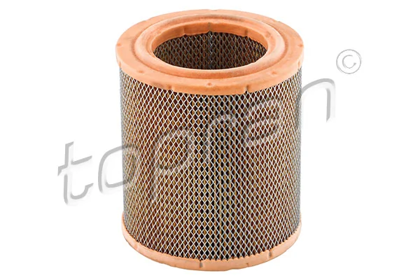 Air Filter 720 969