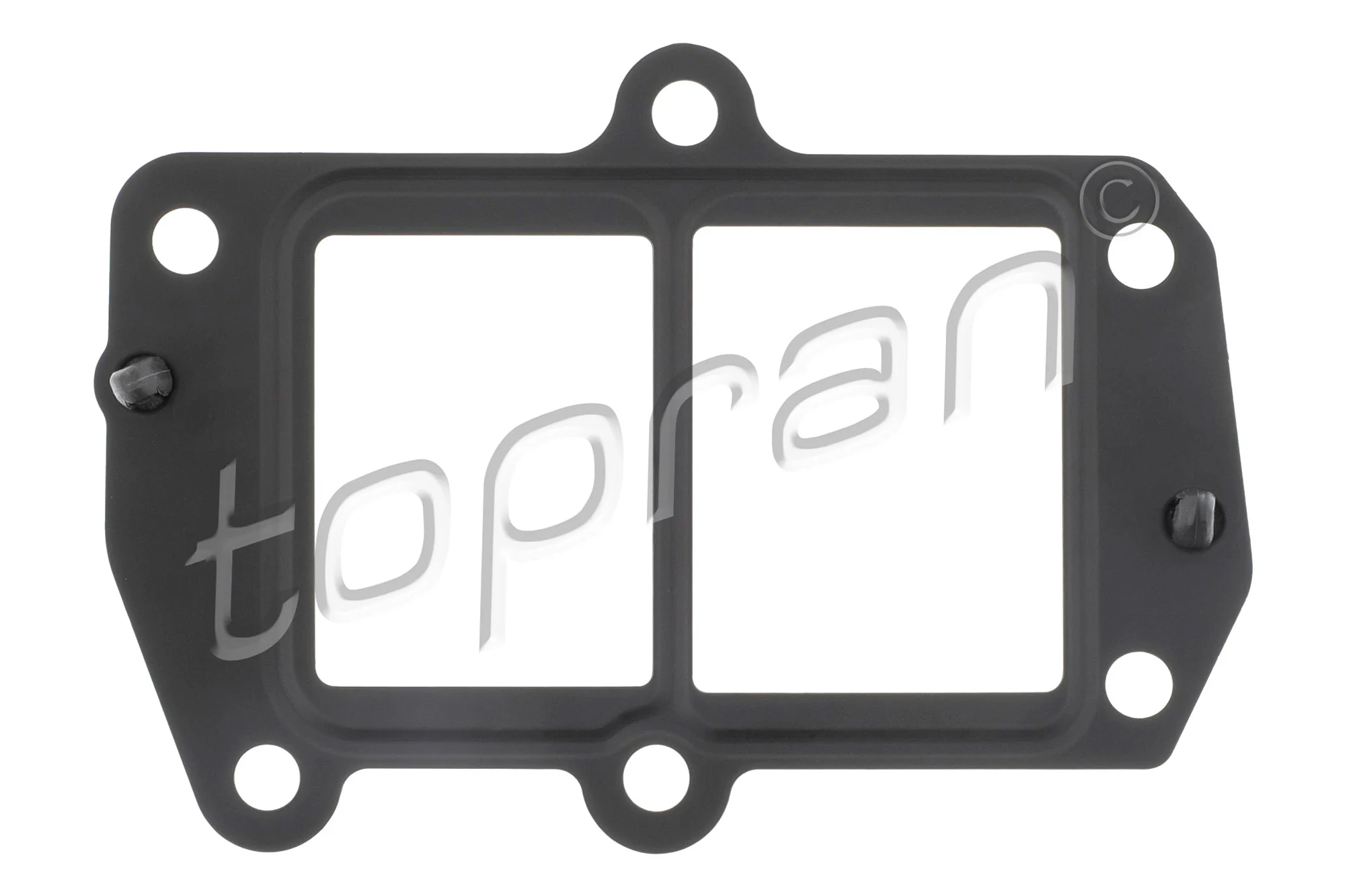 Gasket, EGR valve 411 271