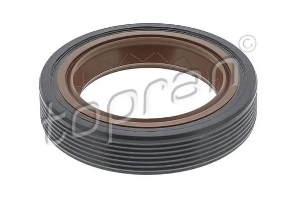 Shaft Seal, crankshaft 101 409