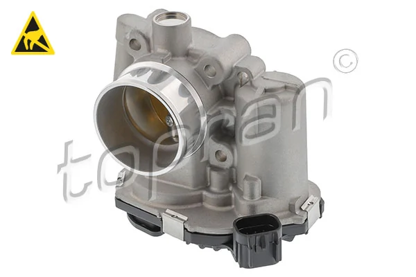 Throttle Body 209 324