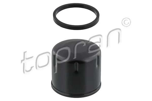 Oil Filter 700 329