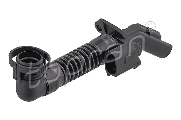 Hose, cylinder head cover ventilation 117 322