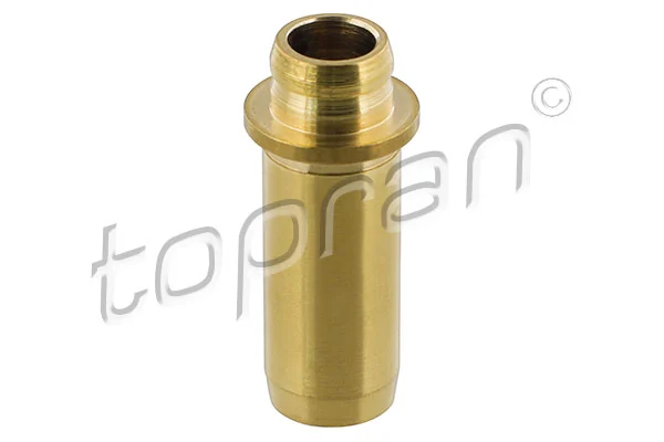 Valve Guide 100 609