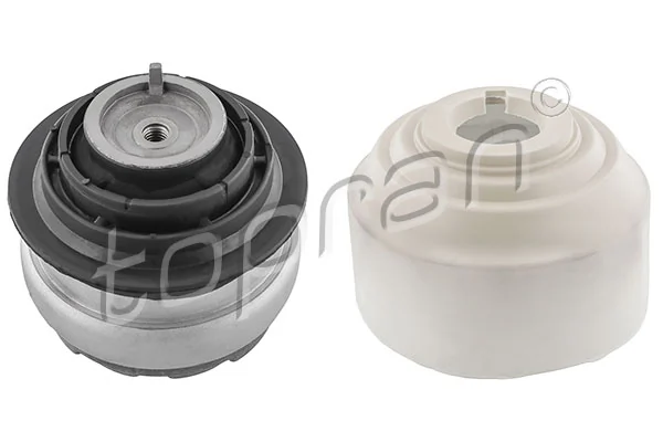 Mounting, engine 407 843